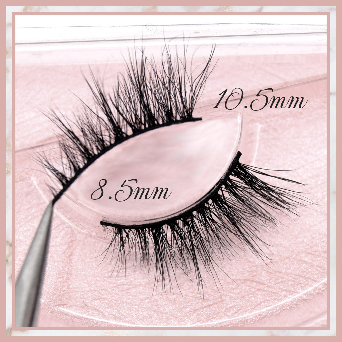 Ava Accent Lashes