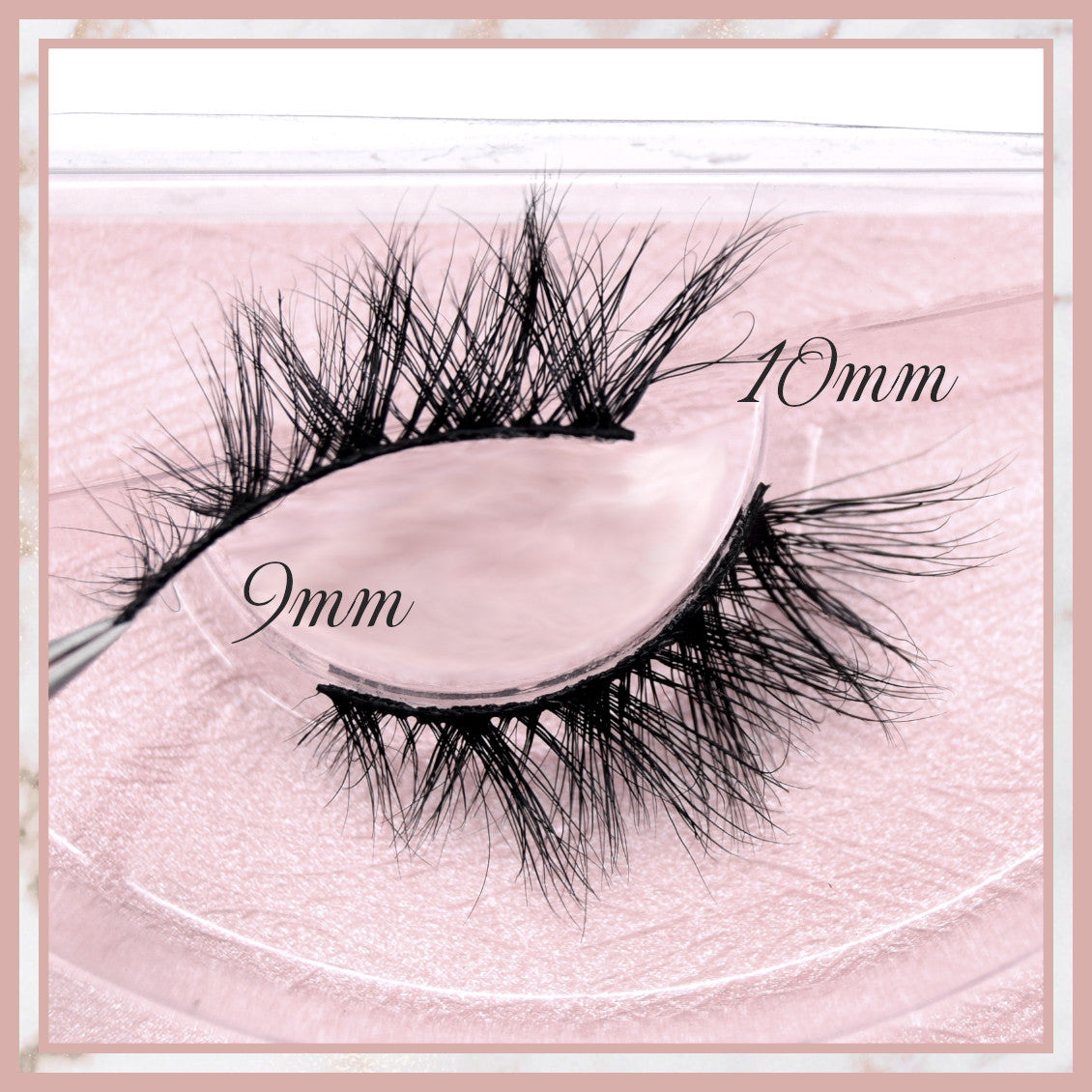 Evie Accent Lashes