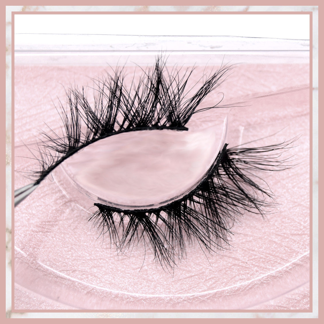 Evie Accent Lashes