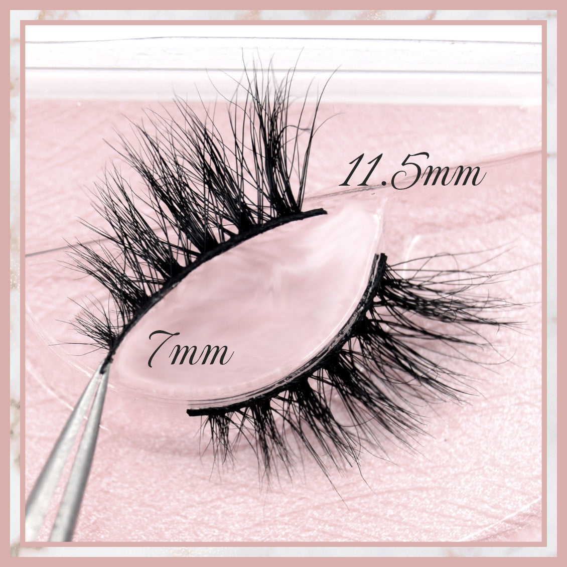 Accent Lash Fivesome