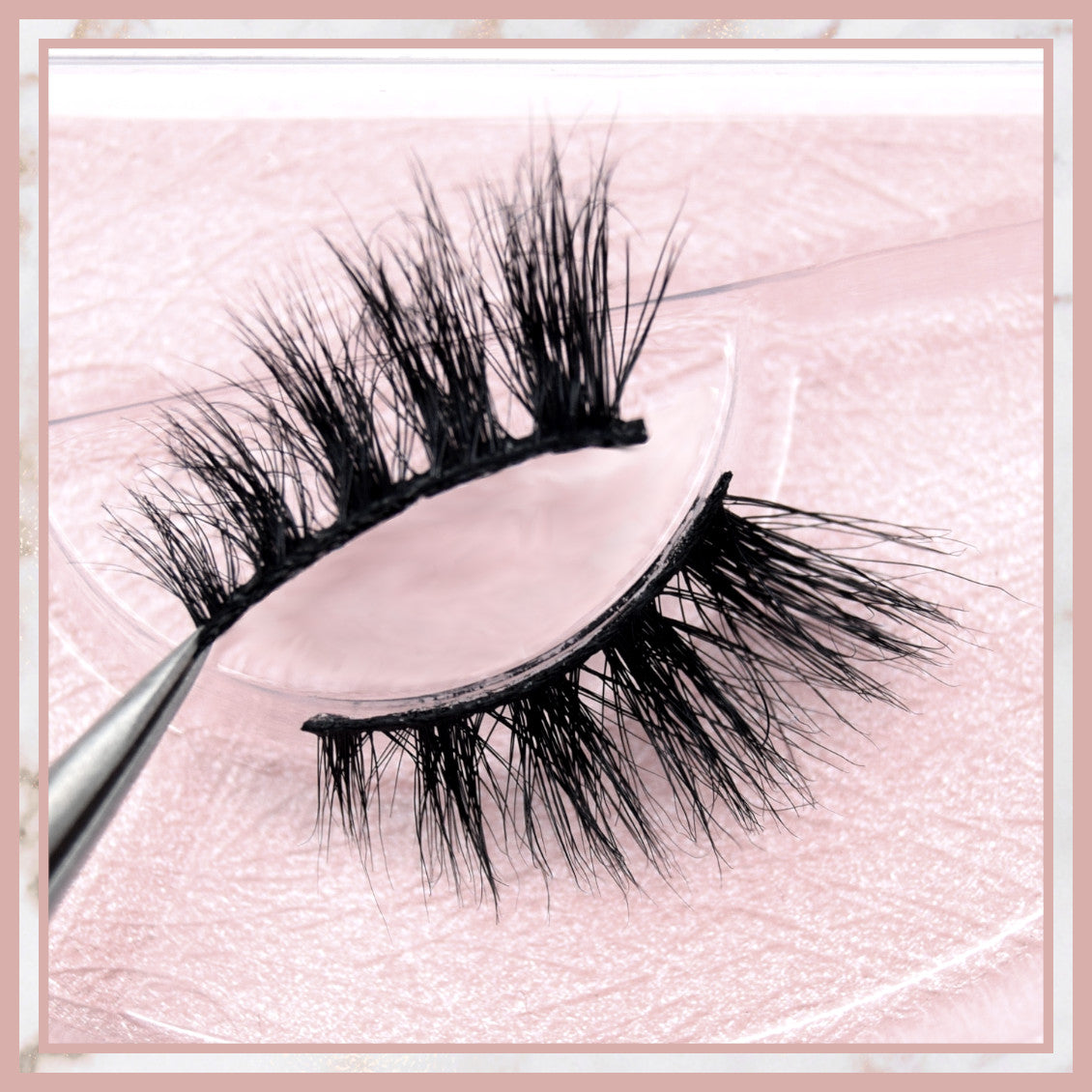 Sofia Accent Lashes