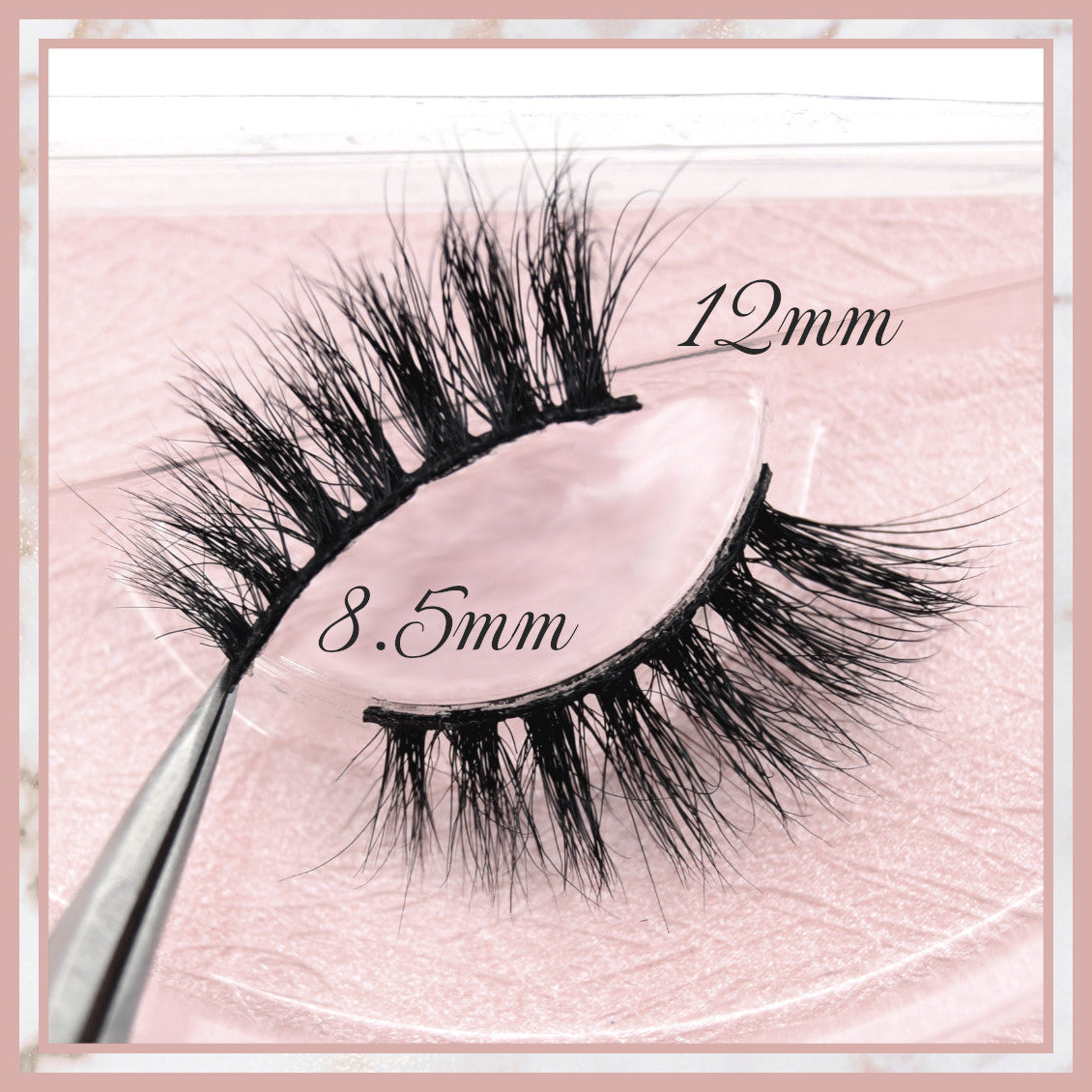 Charlotte Accent Lashes