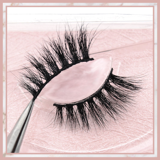 Charlotte Accent Lashes