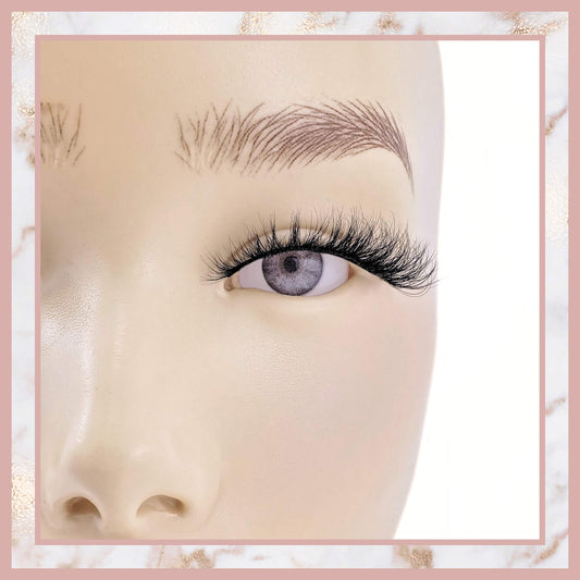 Avalon Short Lash Strips