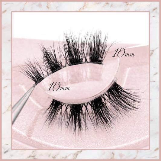 Evelyn Accent Lashes