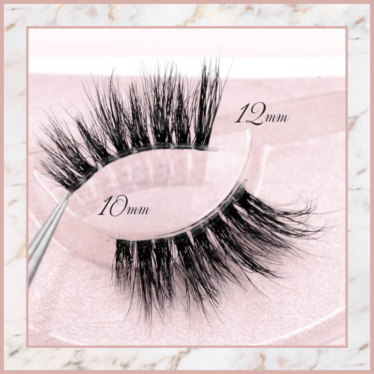 Accent Lash Trio