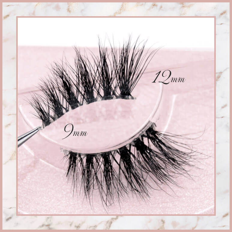 Accent Lash Trio